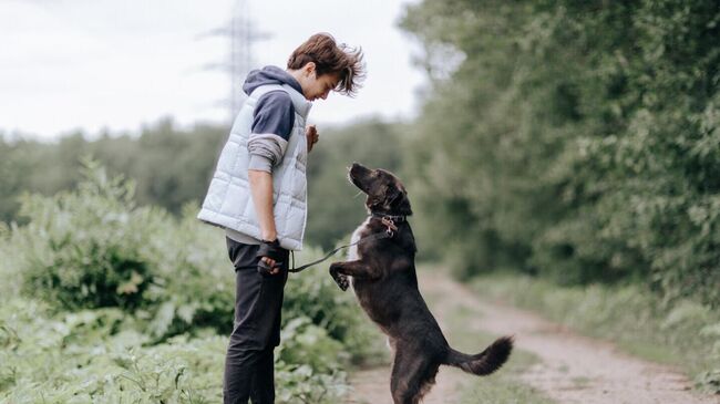 Человек с собакой