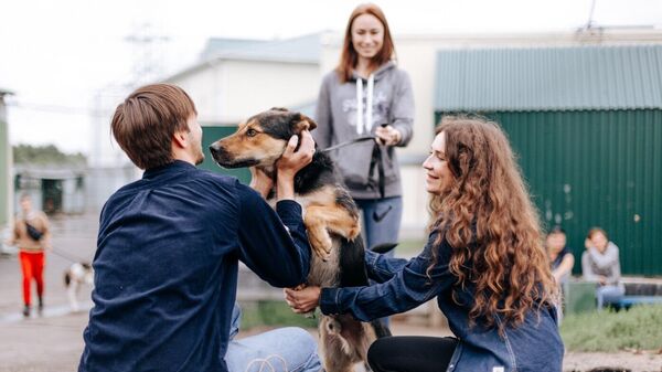 Фестиваль Собаки, которые любят, рассказывающий о волонтерстве в приюте