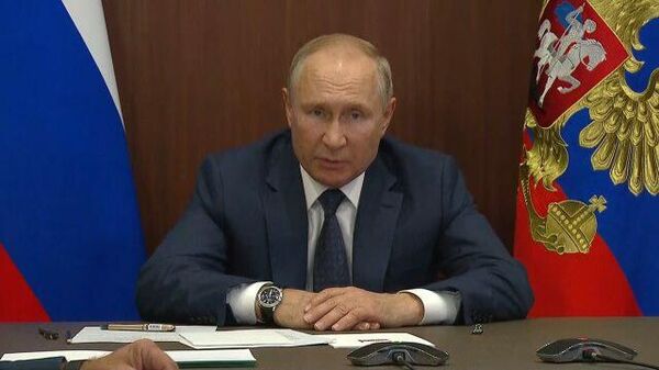 Путин: Есть вопросы и к организации лесного хозяйства