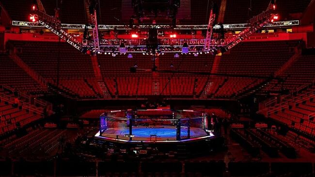 Октагон UFC