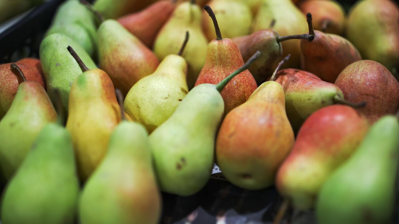             Fruit Pear Apple