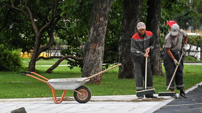 Работы по благоустройству в парке