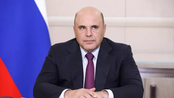 Председатель правительства РФ Михаил Мишустин проводит в режиме видеоконференции совещание с вице-премьерами РФ