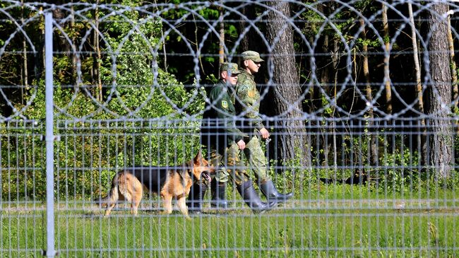 Колючая проволока на границе Литвы и Белоруссии 