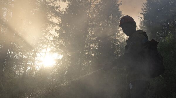 Сотрудник ФБУ Авиалесоохрана тушит лесной пожар в районе Хангаласский улус в Якутии