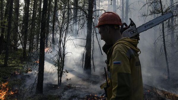 Глава СПЧ предложил усилить лесопожарные службы