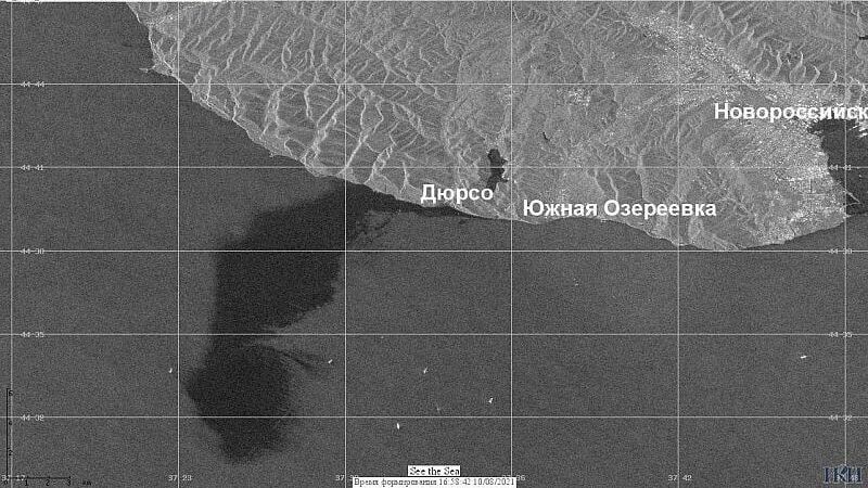 Разлив нефти у Новороссийска. Спутниковая съемка Института космических исследований РАН - РИА Новости, 1920, 12.08.2021