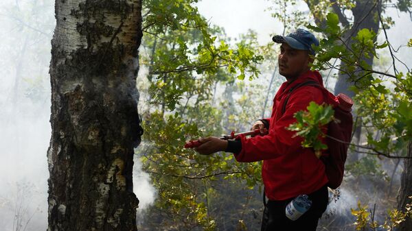 Волонтер во время тушения пожара в заказнике Шайтан-тау в Республике Башкортостан