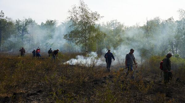 Волонтеры во время тушения пожара в заказнике Шайтан-тау в Республике Башкортостан
