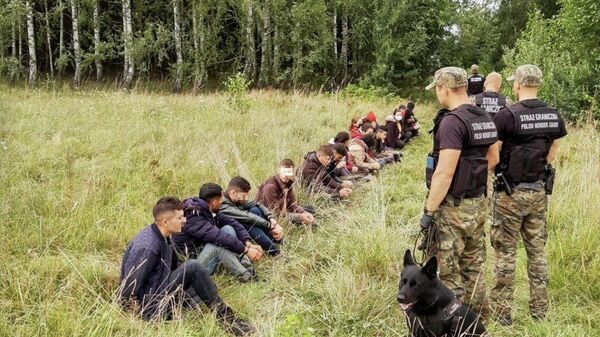Польские пограничники задерживают людей, пытающихся пересечь границу между Белоруссией и Польшей