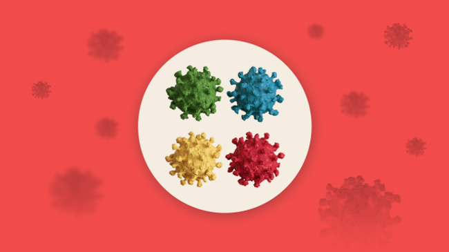 Штаммы коронавируса COVID-19: какие распространены в России и чем опасны