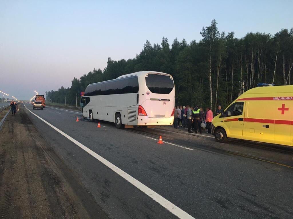 ДТП на 97-м км федеральной автодороги М-8 Холмогоры в Александровском районе во Владимирской области - РИА Новости, 1920, 14.08.2021