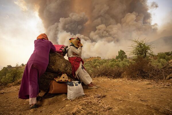 Лесные пожары в Марокко