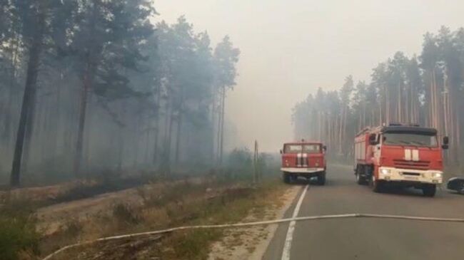 Тушение лесного пожара в Марий Эл