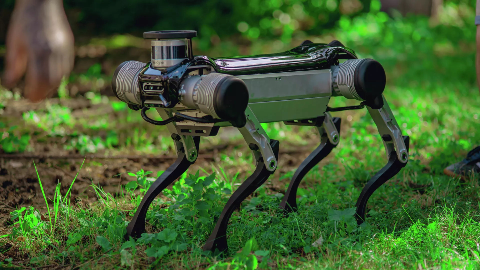 В Москве проходит фестиваль Geek Picnic - РИА Новости, 1920, 20.08.2021