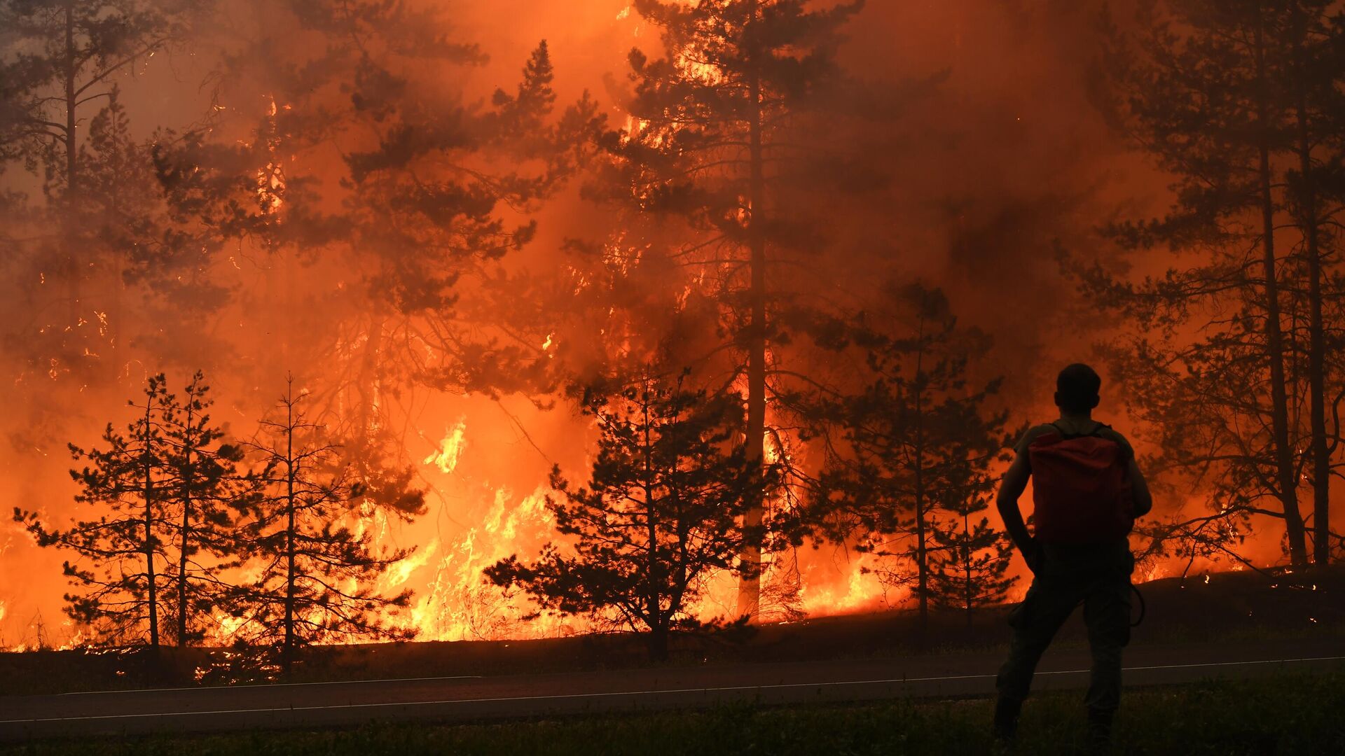 Лесной пожар 3 класс. Лесные пожары. Лесные пожары в России. Горящий лес. Пожар в лесу Россия.