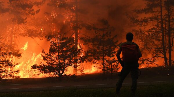 В Приангарье бушуют 13 лесных пожаров