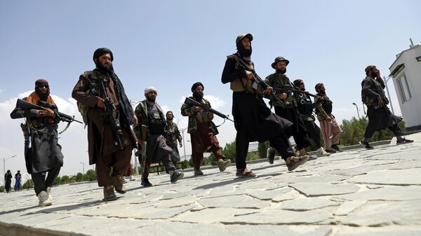 Боевики Талибана*