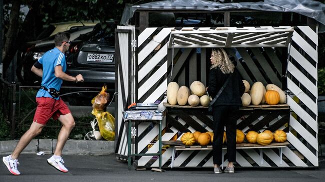 Продажа бахчевых 