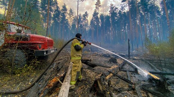 Тушение пожара в Мордовском заповеднике
