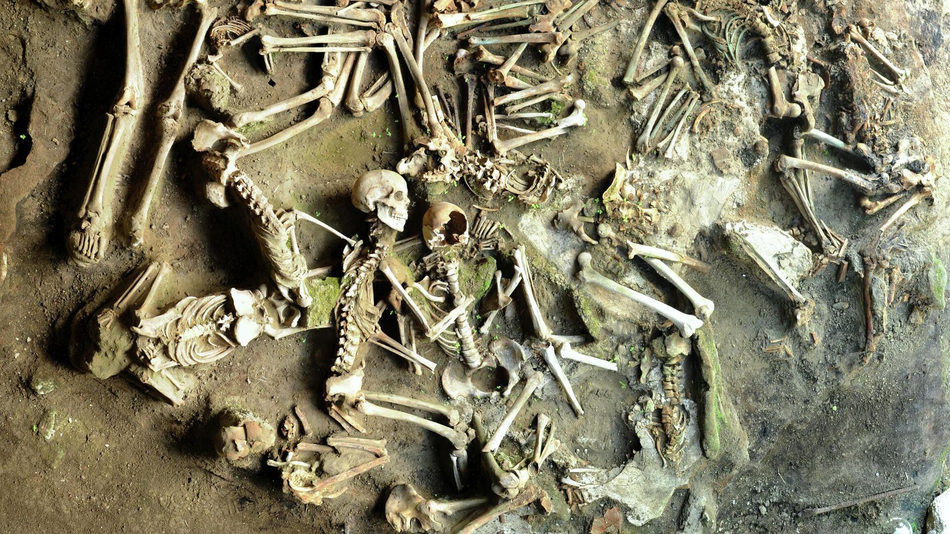 Останки жителей Геркуланума, погибших во время извержения Везувия в 79 году нашей эры - РИА Новости, 1920, 25.08.2021