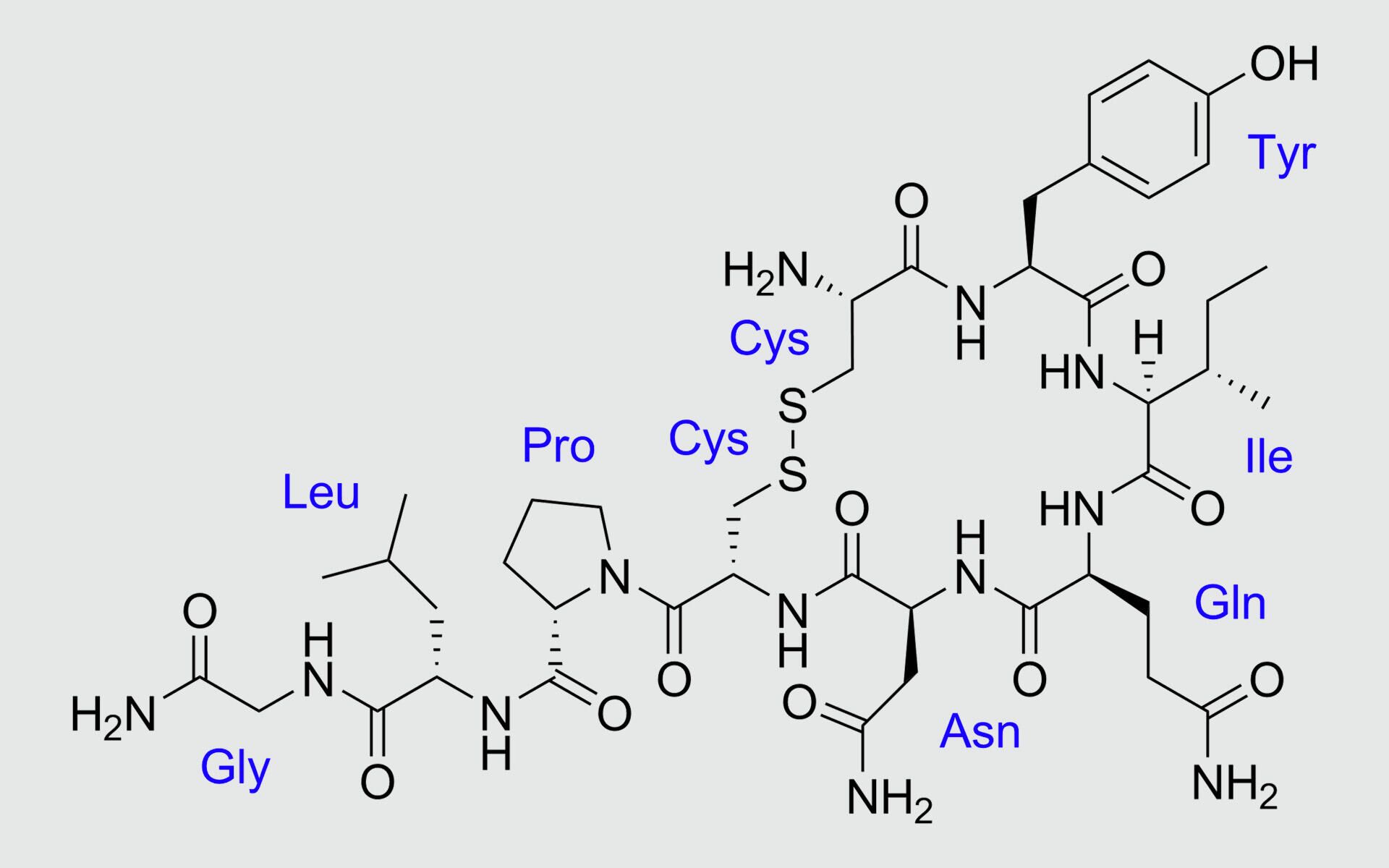 Химическая структура окситоцина - РИА Новости, 1920, 27.08.2021