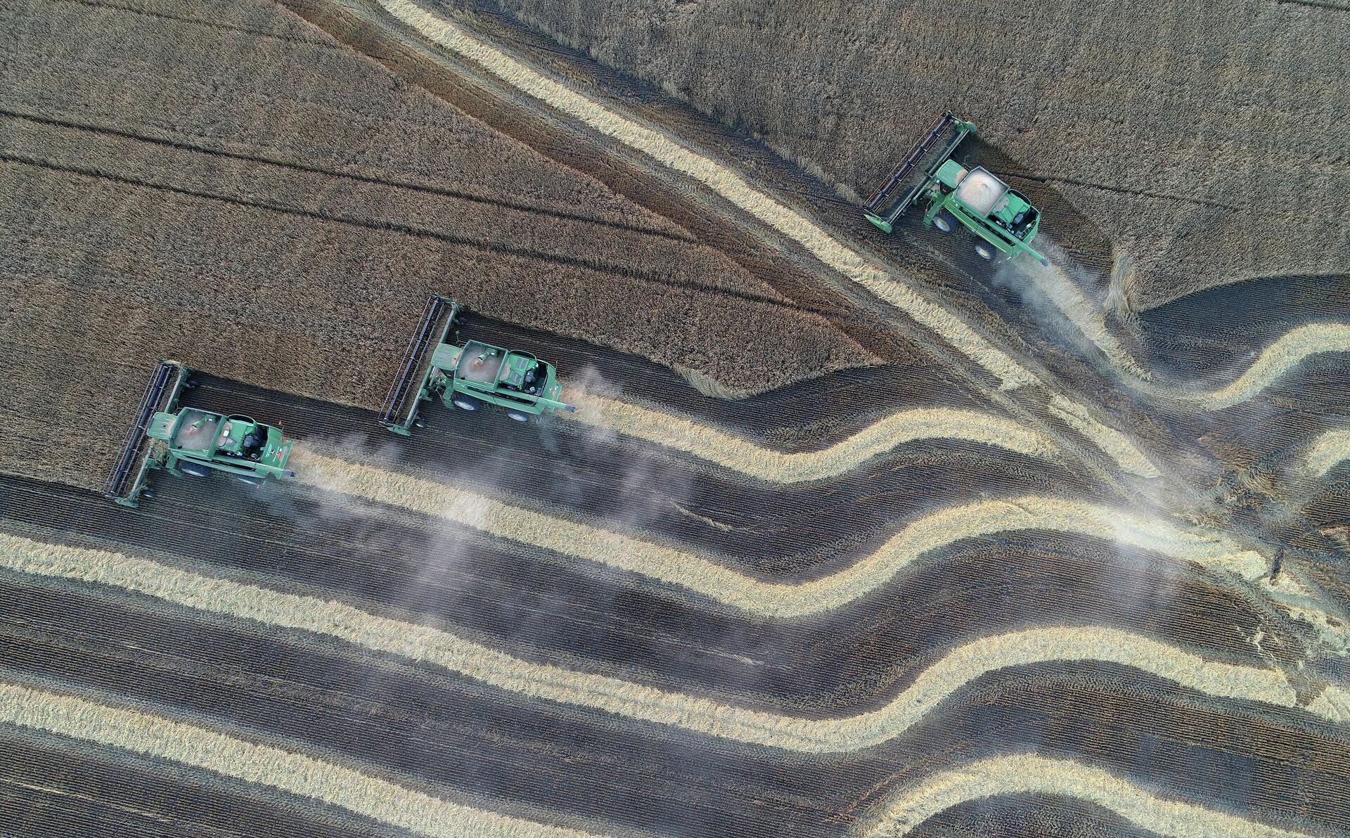 Уборка урожая пшеницы на поле АО Солгон в окрестностях села Солгон Красноярского края - РИА Новости, 1920, 15.09.2021