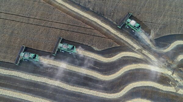 Уборка урожая пшеницы на поле АО Солгон в окрестностях села Солгон Красноярского края