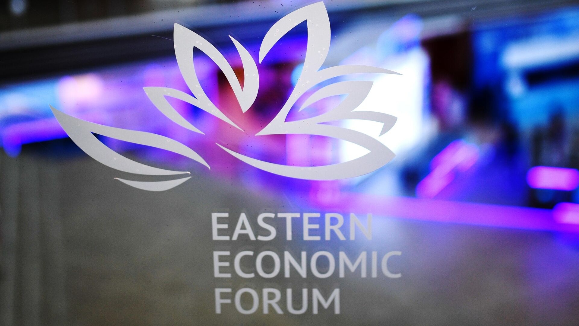Логотип Восточного экономического форума в главном корпусе Дальневосточного федерального университета  - РИА Новости, 1920, 28.10.2021