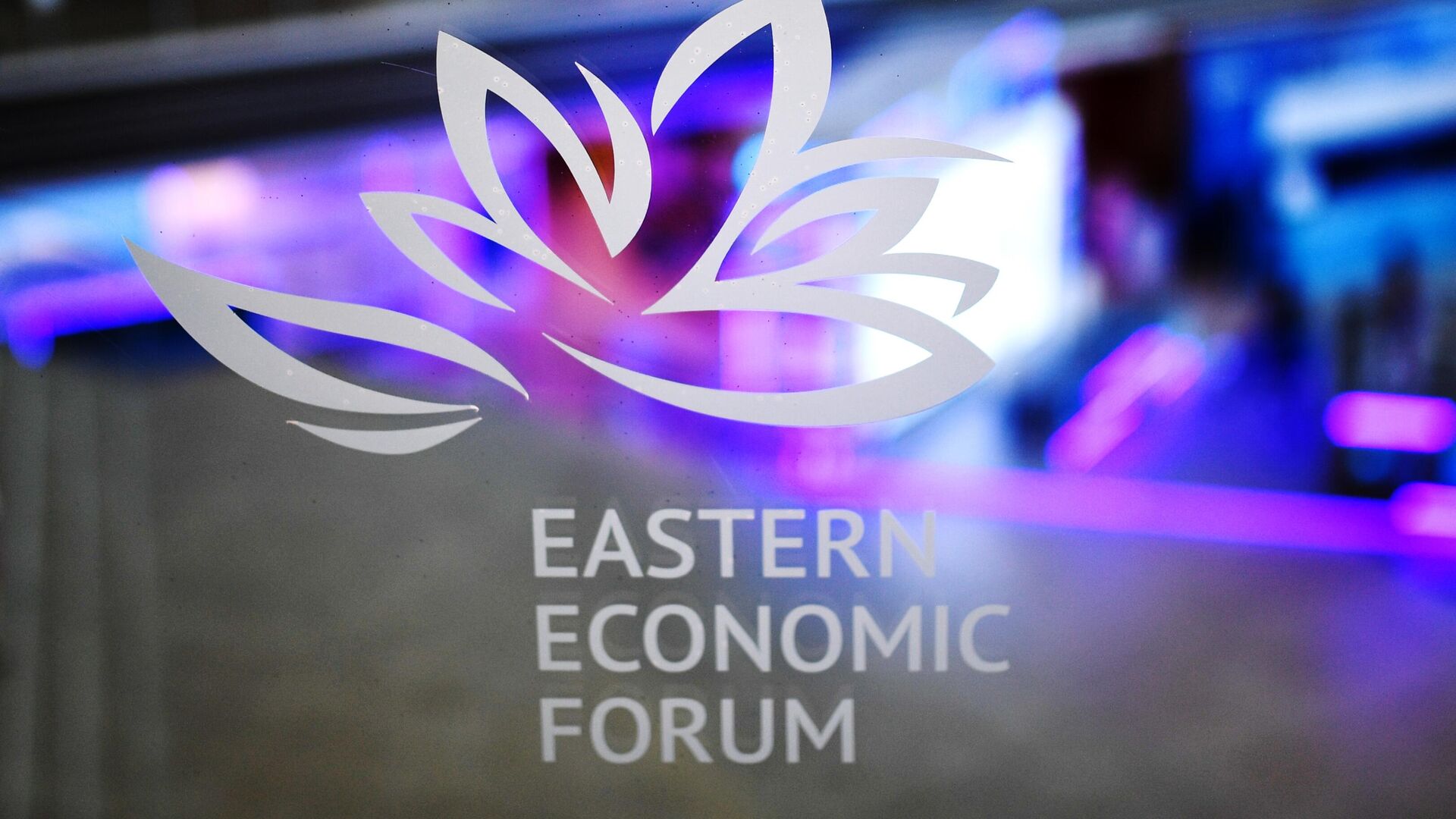 Логотип Восточного экономического форума в главном корпусе Дальневосточного федерального университета  - РИА Новости, 1920, 23.06.2022