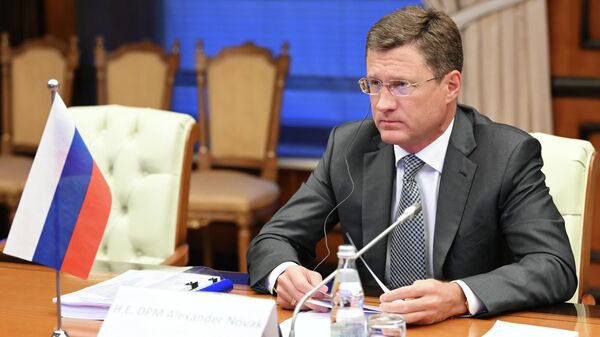 Заместитель председателя правительства РФ Александр Новак на заседании министров стран ОПЕК+ в Москве