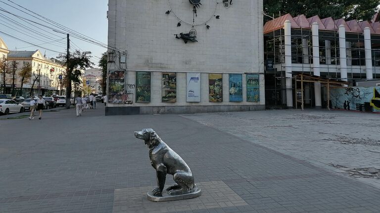 Памятник Белому Биму в Воронеже