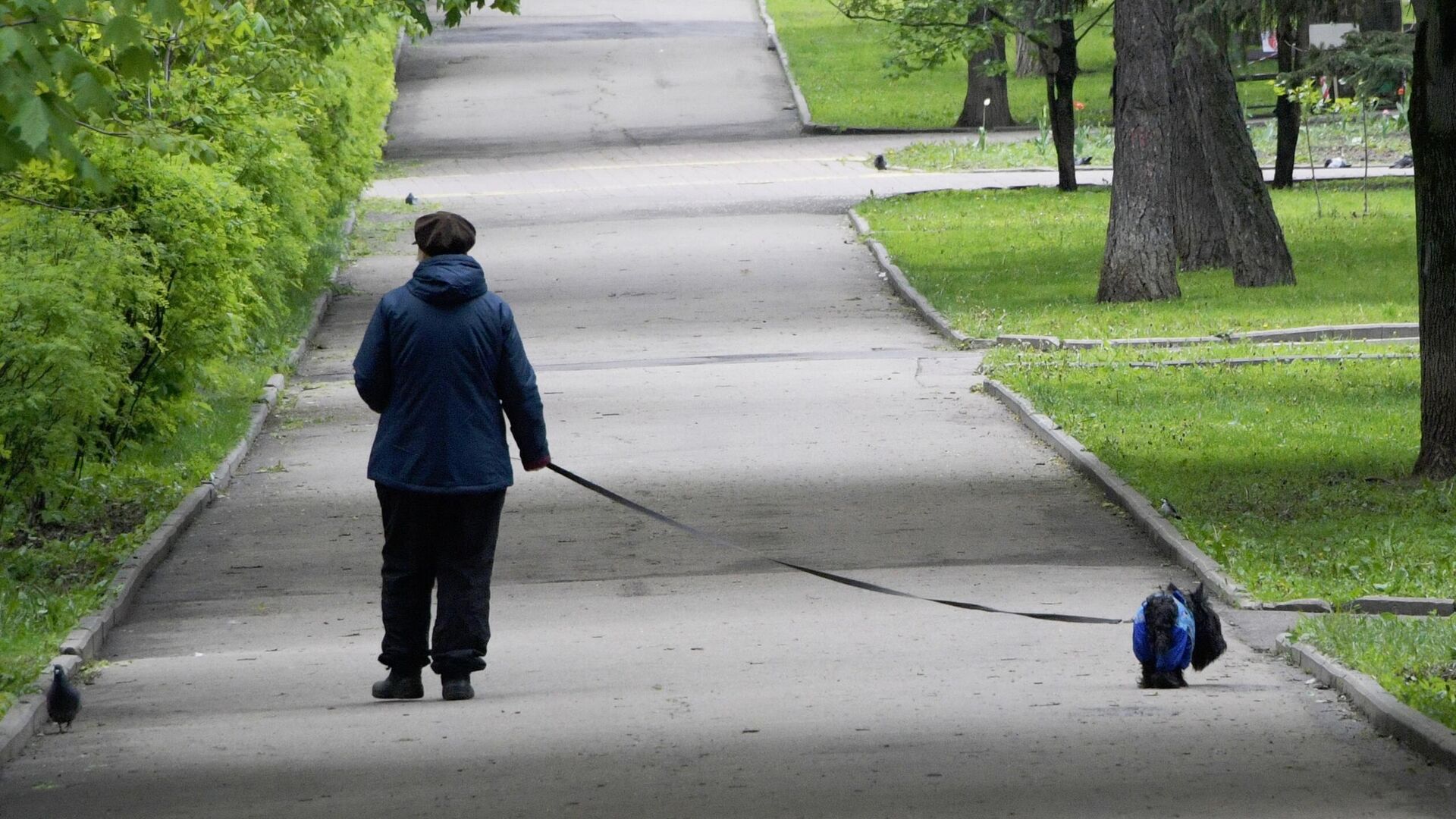 Женщина с собакой во время прогулки - РИА Новости, 1920, 08.09.2021