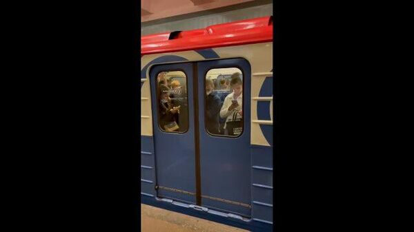 Движение поездов после ликвидации задымления в Московском метрополитене