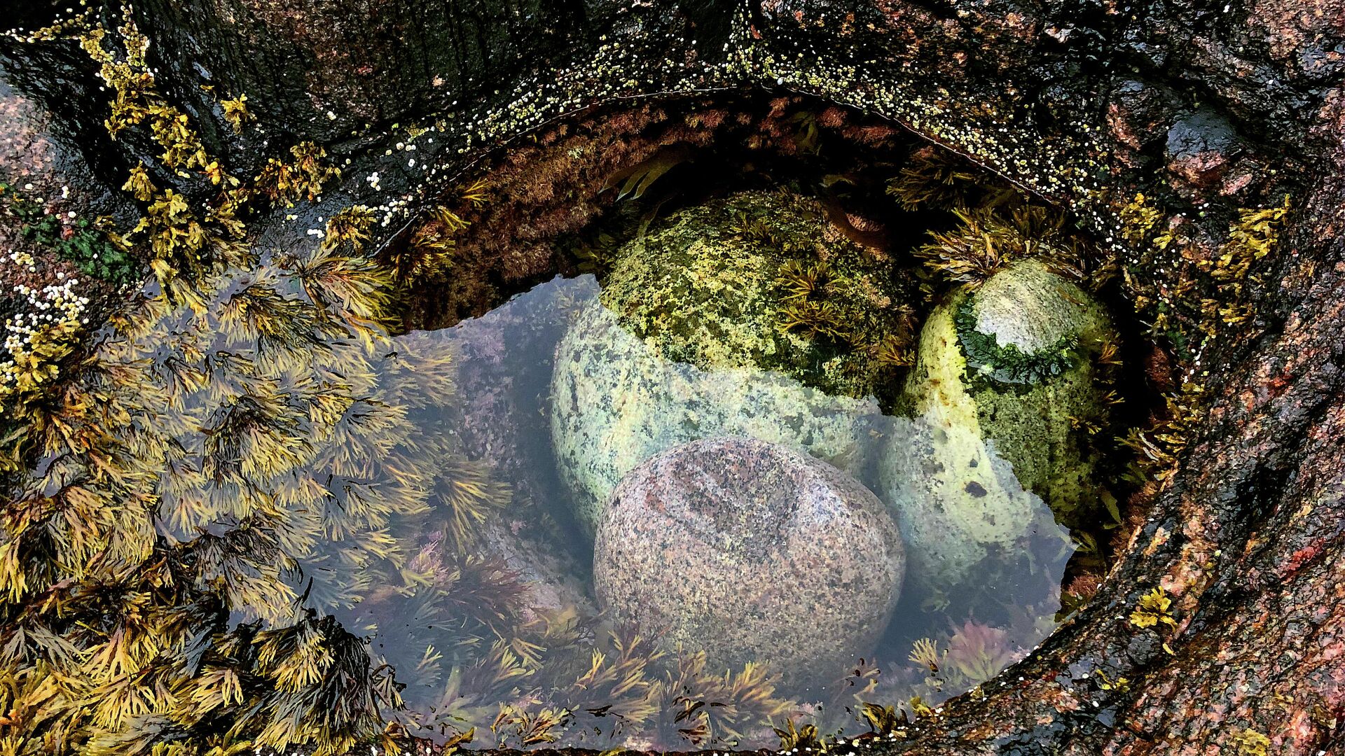  Яйца дракона  на одноименном пляже неподалеку от села Териберка - РИА Новости, 1920, 01.03.2023