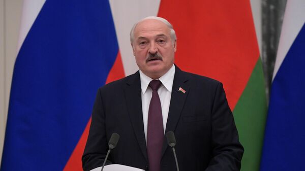 Президент Белоруссии Александр Лукашенко во время совместной с президентом РФ Владимиром Путиным пресс-конференции по итогам встречи