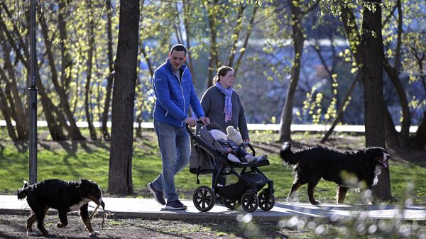 Семейная пара с собаками на прогулке