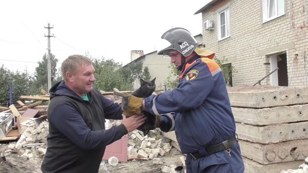 Из-под завалов в Елецком районе спасателям удалось достать кота и вернуть его владельцу