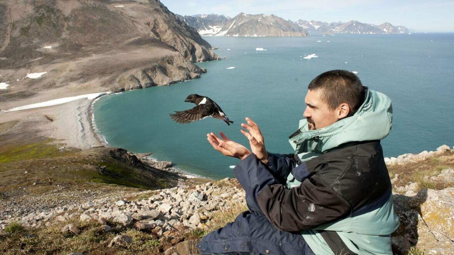 Ученый в Восточной Гренландии надевает кольцо с меткой GLS на лапку птице - РИА Новости, 1920, 13.09.2021