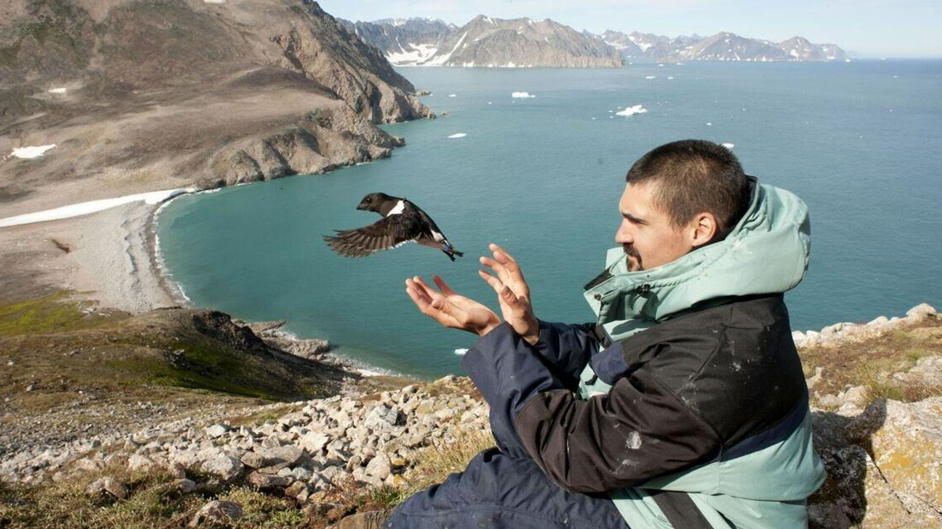 Ученый в Восточной Гренландии надевает кольцо с меткой GLS на лапку птице - РИА Новости, 1920, 13.09.2021