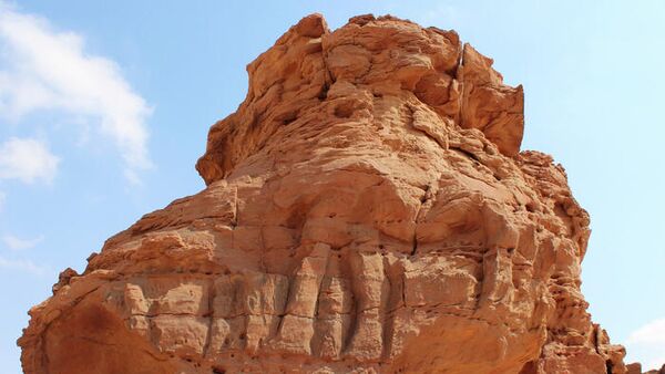 Одно из рельефных изображений верблюдов в натуральную величину в Северной Аравии