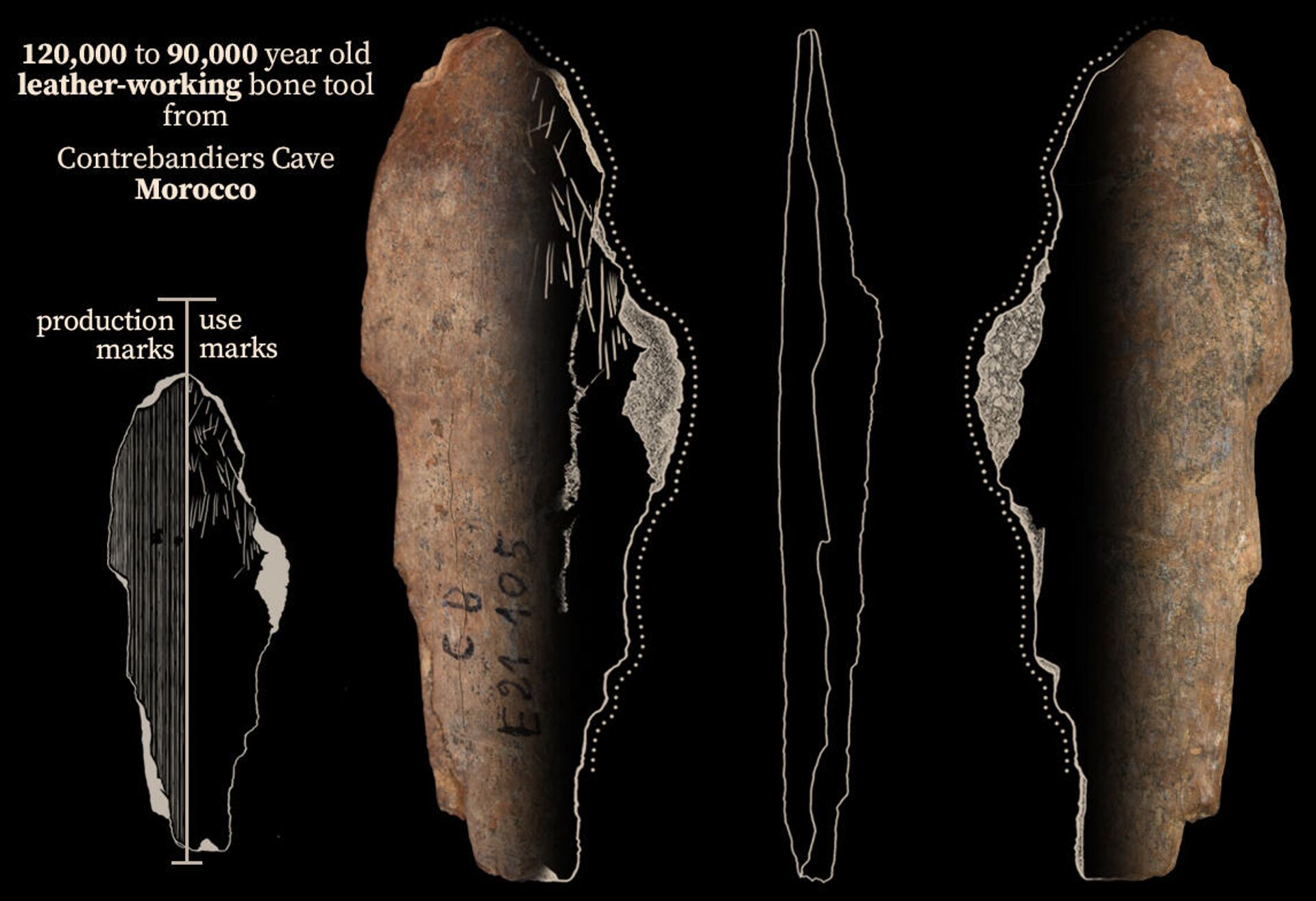  Костяной инструмент возрастом 120-90 тысяч лет из пещеры Контребандье в Марокко - РИА Новости, 1920, 16.09.2021