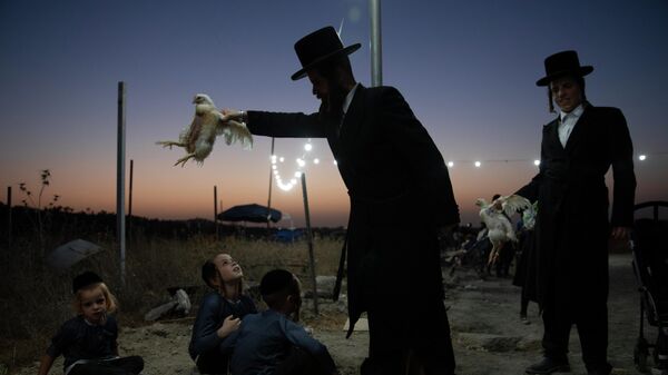 Ультраортодоксальный еврей держит курицу в рамках ритуала капарот в Бейт-Шемеше, Израиль 