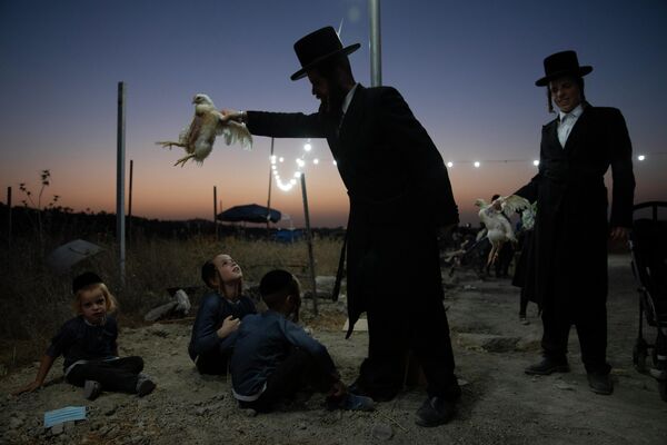 Ультраортодоксальный еврей держит курицу в рамках ритуала капарот в Бейт-Шемеше, Израиль 
