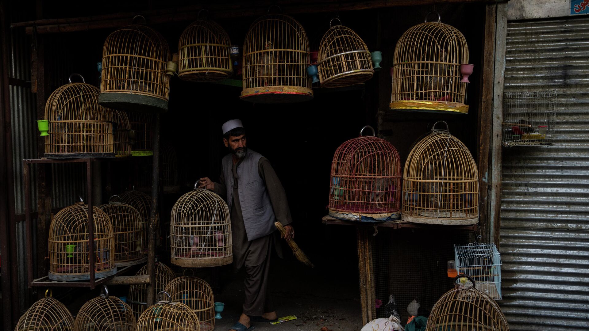 Продавец на птичьем рынке в Кабуле, Афганистан - РИА Новости, 1920, 12.10.2021