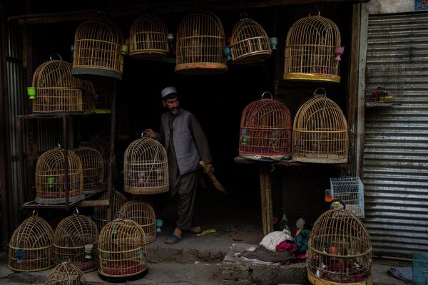 Продавец на птичьем рынке в Кабуле, Афганистан