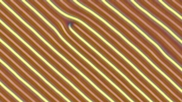 Фотография периодической структуры холестерика, сделанная с помощью поляризационного микроскопа