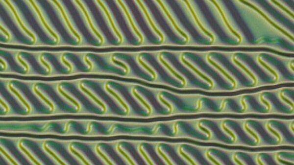 Фотография периодической структуры холестерика, сделанная с помощью поляризационного микроскопа