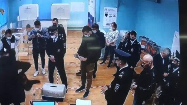 Полиция и наблюдатели ловили енота на избирательном участке в Москве 