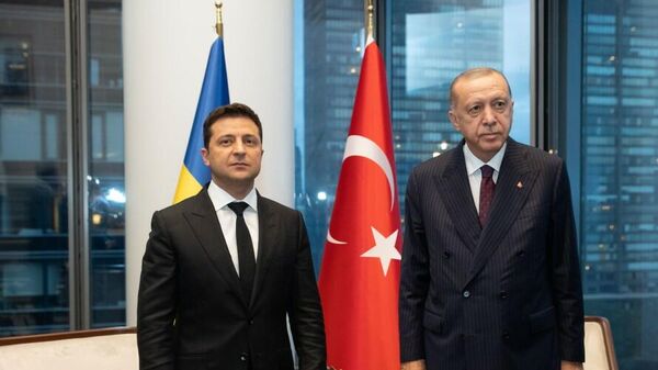 Президент Украины Владимир Зеленский и президент Турции Тайип Эрдоган во время встречи в Нью-Йорке